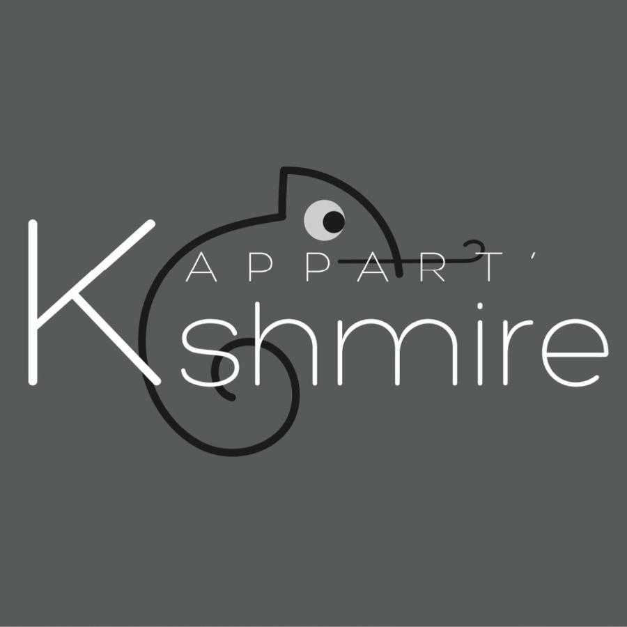 L'Appart K-Shmire- Cosy Et Spacieux, 4 Pers Le Mans Kültér fotó